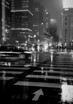 最初から、その感情は恋だった。