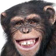 yossyさんのアイコン画像