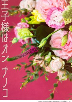 王子様はオンナノコ