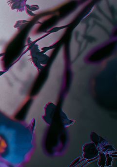 【 参加型 】枯れた花は返り咲く〆