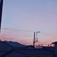 あおな　さんのアイコン画像