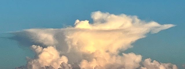 流羽 ,さんの壁紙画像