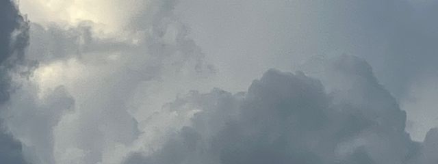 yuzuponさんの壁紙画像