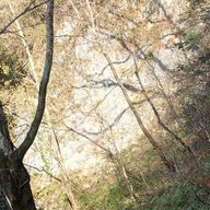 ほまれさんのアイコン画像