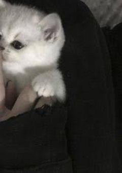 不良と子持ち高校生