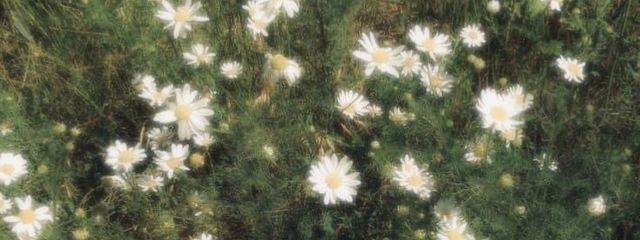 키이さんの壁紙画像