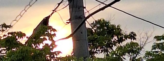 猫は至福さんの壁紙画像