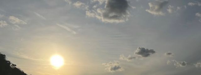 しぃさんの壁紙画像