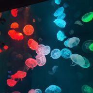 佐々木さんのアイコン画像