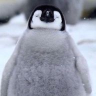 らうさんのアイコン画像