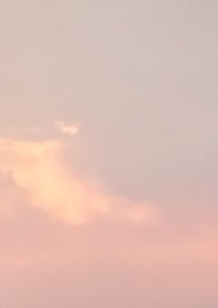 高校3年生 集いの会