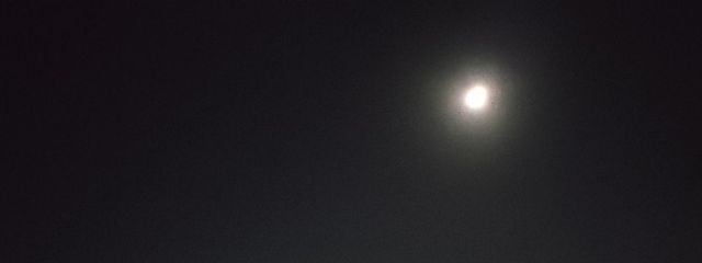 せいさんの壁紙画像