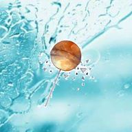 雨飴(つむ)さんのアイコン画像