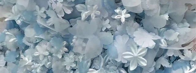 jia(ジア)💜💫さんの壁紙画像