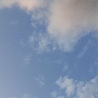 橋。さんのアイコン画像