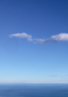 やっぱり君がいい。