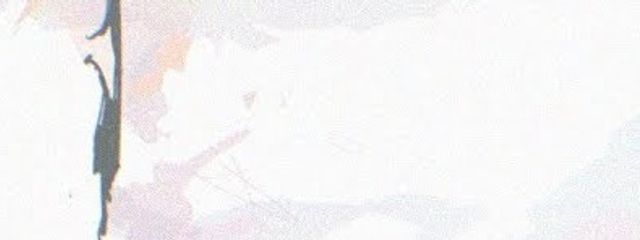 　＃　　猫 宮 く ん 　.　　　frb100　さんの壁紙画像