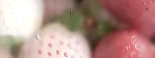 Riruさんの壁紙画像