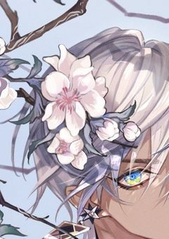 巷で噂のイブラヒム夫婦