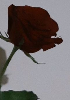 ＳＶＴ短編集♡