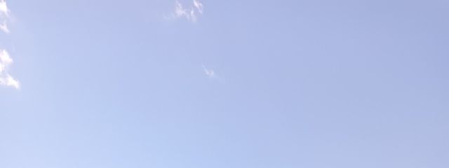 ねこっ子ฅ^•ω•^ฅさんの壁紙画像