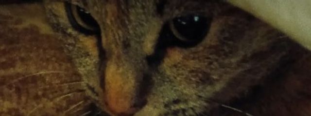 みう𖦹‎' ‐ '𖦹‎‎さんの壁紙画像