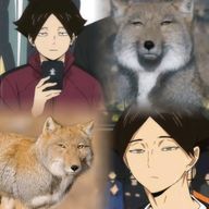 miyuさんのアイコン画像