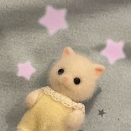 y✌🏻 🤍さんのアイコン画像