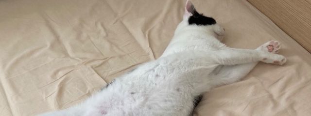 Southさんの壁紙画像