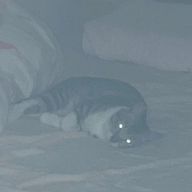 Southさんのアイコン画像