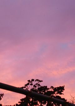 地球最後の日を君と。