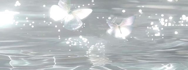 　透羽さんの壁紙画像