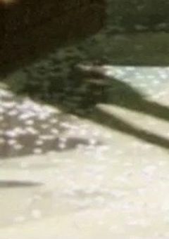 影と私と終わりの教室