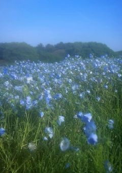 ギャルの勉強と恋の成長物語(?)