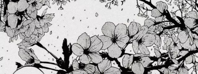 t0ka_s3さんの壁紙画像