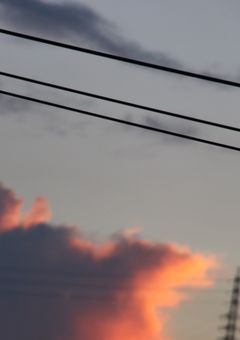 写真載せます(更新は多分稀)