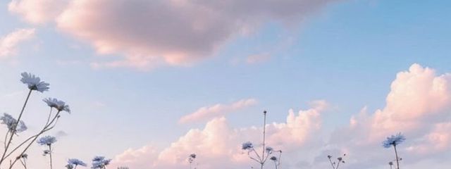 PINOA🫧🌸🍬さんの壁紙画像