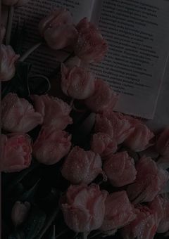 雪男サン体調不良