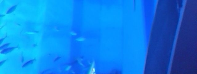 ビビンバさんの壁紙画像