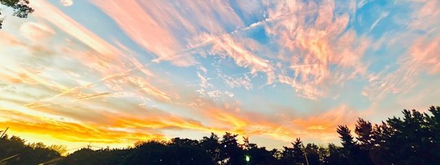 ¥大福もどき¥さんの壁紙画像