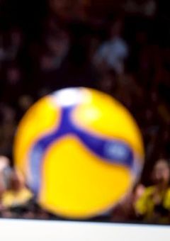 狼犬たちの弱いとこ