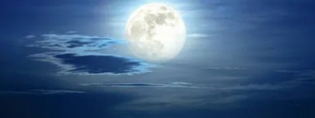 月城さんの壁紙画像