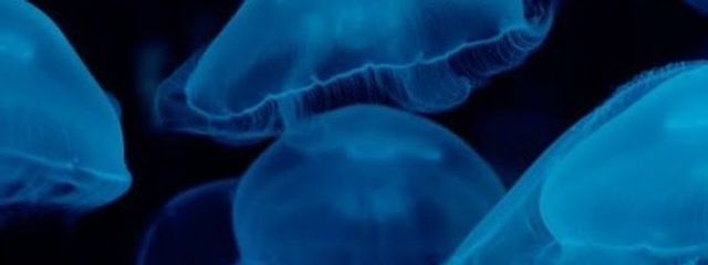 あおいろ。さんさんの壁紙画像