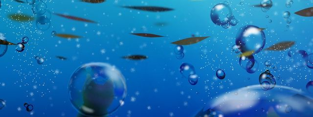 いちご大福 @3月17日まで活動休止さんの壁紙画像