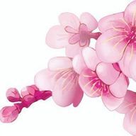 plumさんのアイコン画像