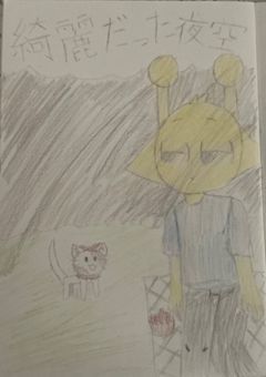 綺麗だった夜空