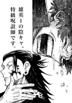 雄英一の陰キャ、特級呪詛師です。