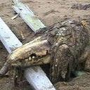 SCP-682「不死身の爬虫類」