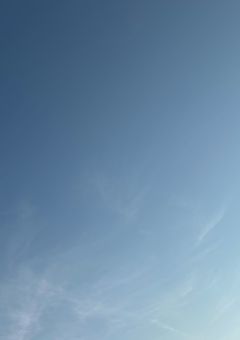 あの花が咲く丘で、君とまた出会えたら