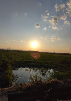 天然無自覚ヒロイン、15人に愛されちゃってます。